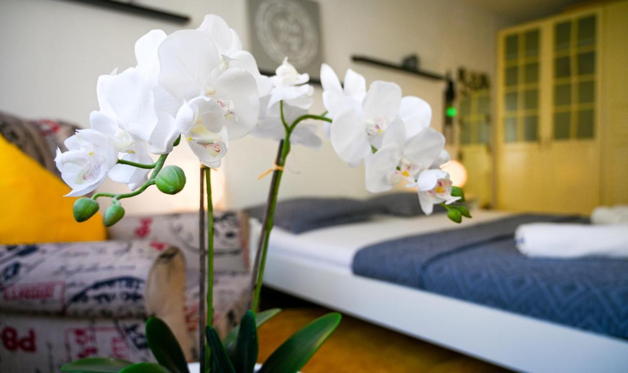 Apartment Cozy Margareten Wien